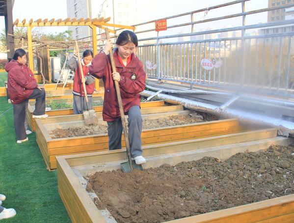 学生们正在进行翻土 学生们正在进行翻土